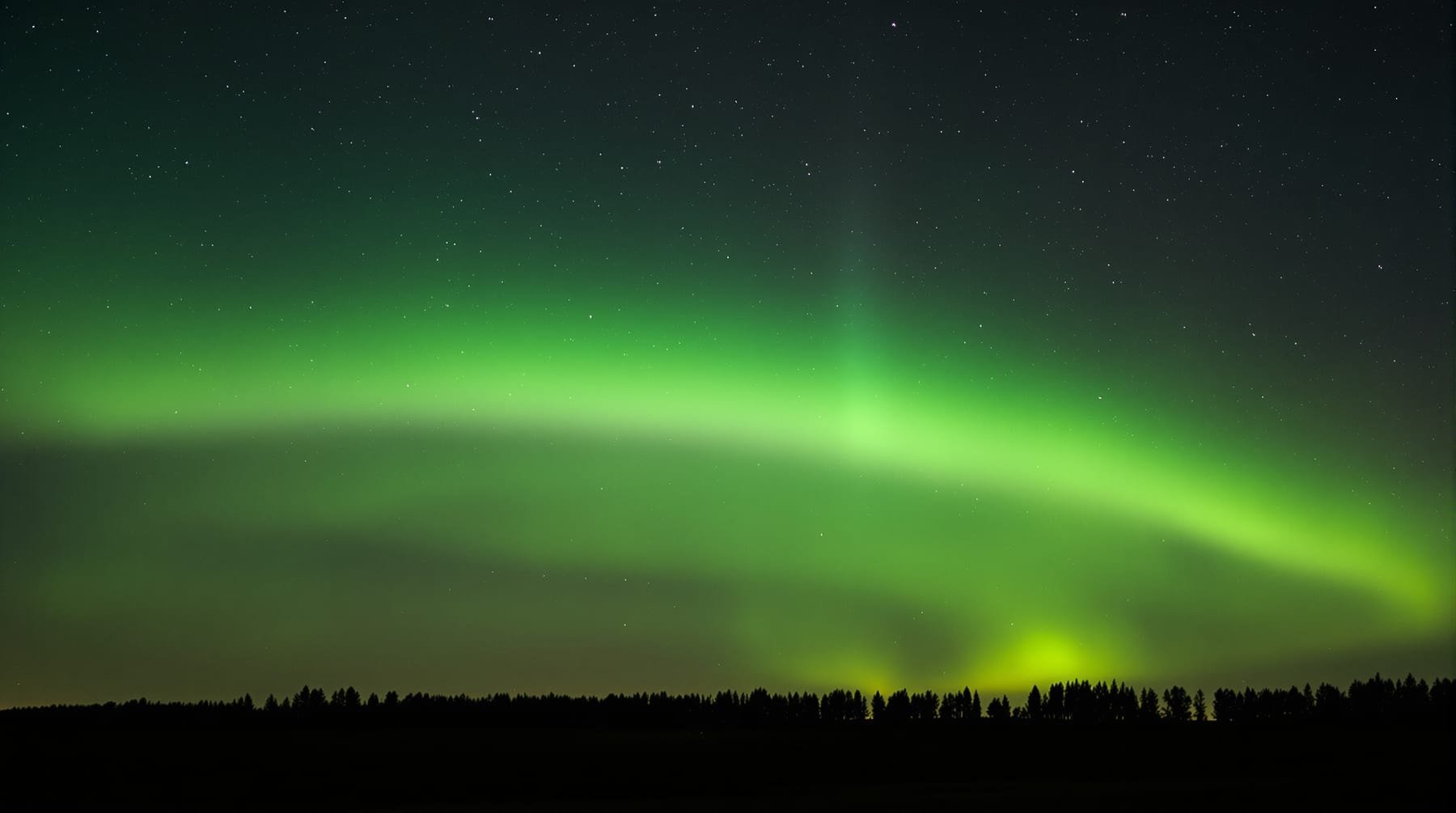 A green aurora arc low along the northern horizon above a dark treeline